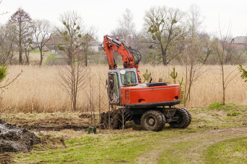 Vegetation Removal in Marshland